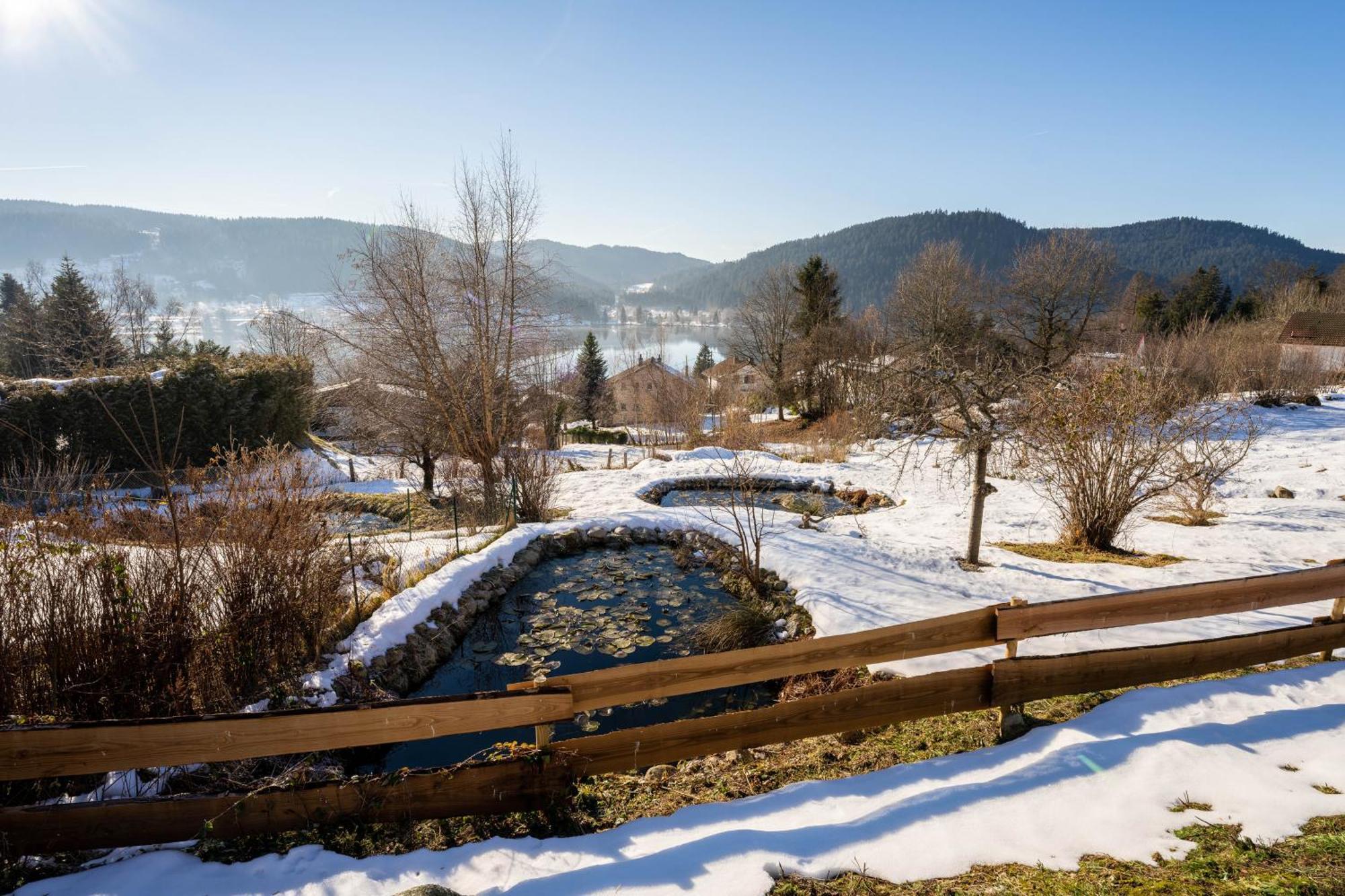 Moho Mountain Home Gérardmer Eksteriør bilde